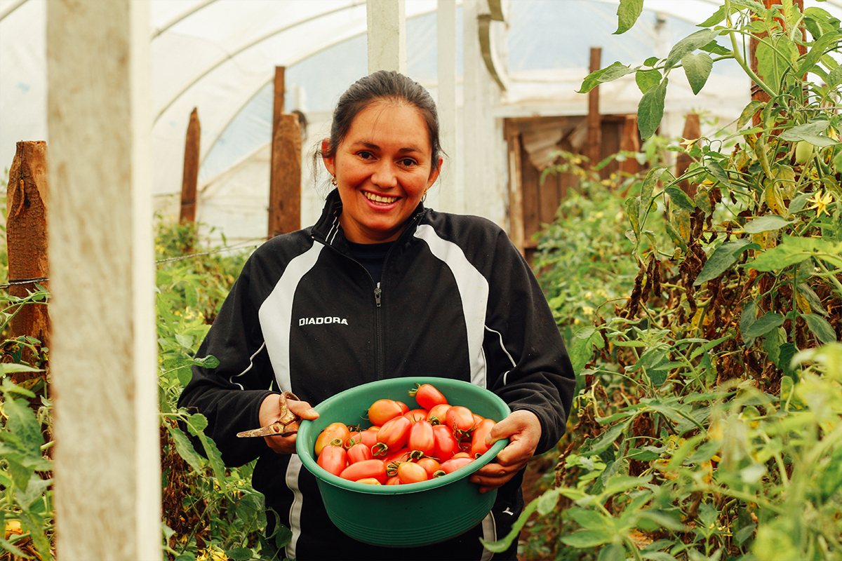 Gladys and her husband, Sergio, have a garden near their home in Guatemala where they grow produce that they sell as a livelihood.